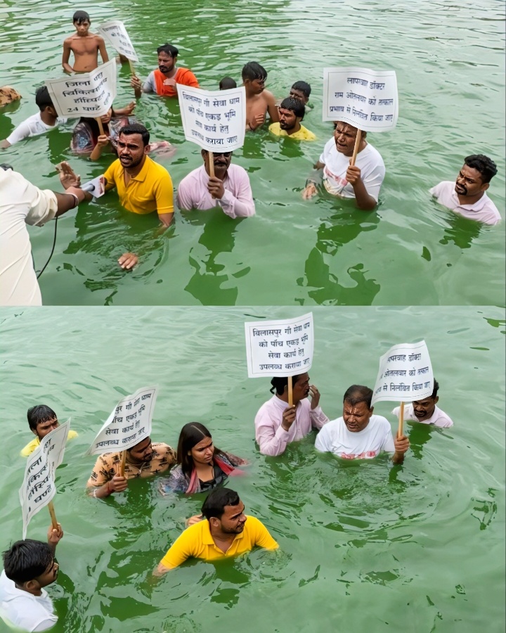 गौ_धन के लिए अब जल में आंदोलन,गौ माता राष्ट्रमाता के लिए गौ पुत्र उतरे जल में